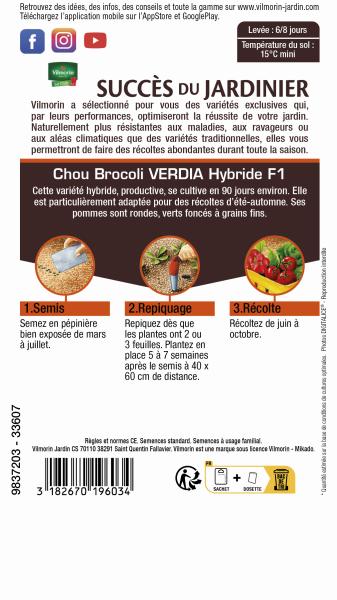 Potagères - Chou Brocoli Verdia HF1 - Graines d'Exception - MEDIA_PACKAGING_VERSO